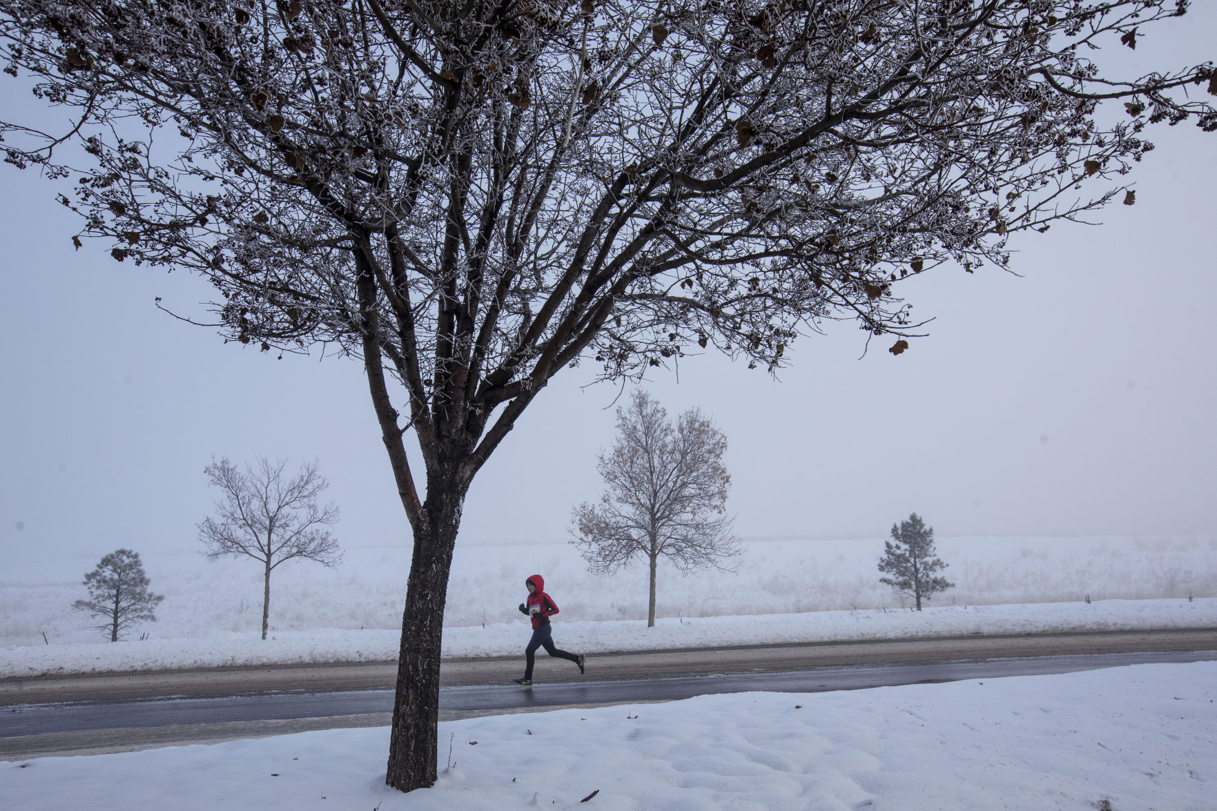 112919-news-turkeytrot 12.jpg